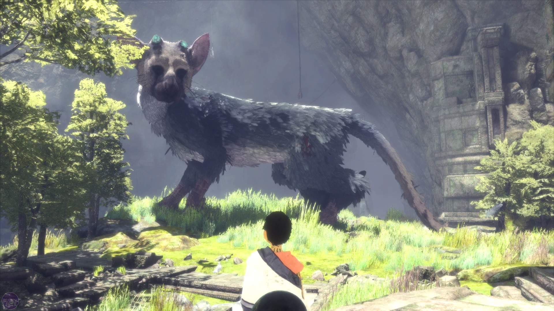 Guardian ps4. Трико ласт Гардиан. Игра the last Guardian. Трику the last Guardian. Трико зверь the last Guardian.